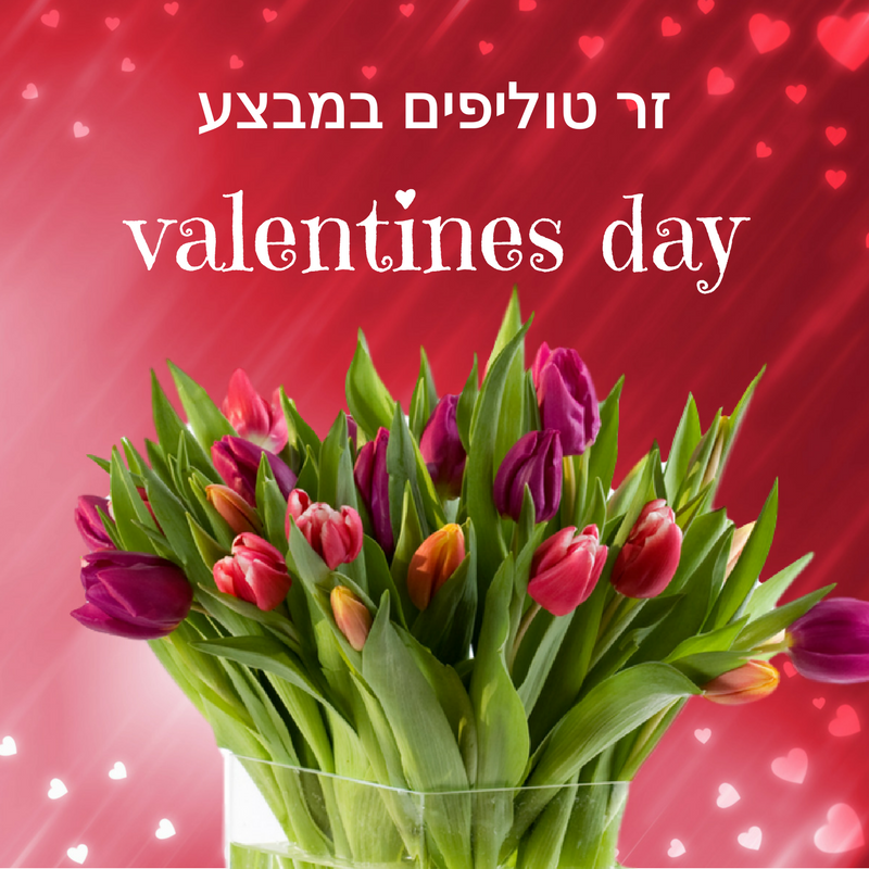 זר טוליפים לולנטיין דיי