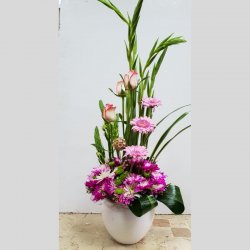 סידור ורוד ורוד